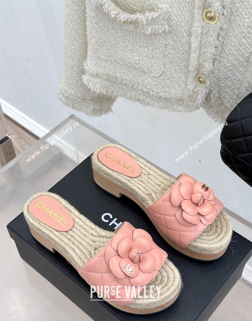 Chanel Calfskin Platform Slides Sandal 4cm with Camellia Light Pink 2025 CH041608 (MD-250416059)