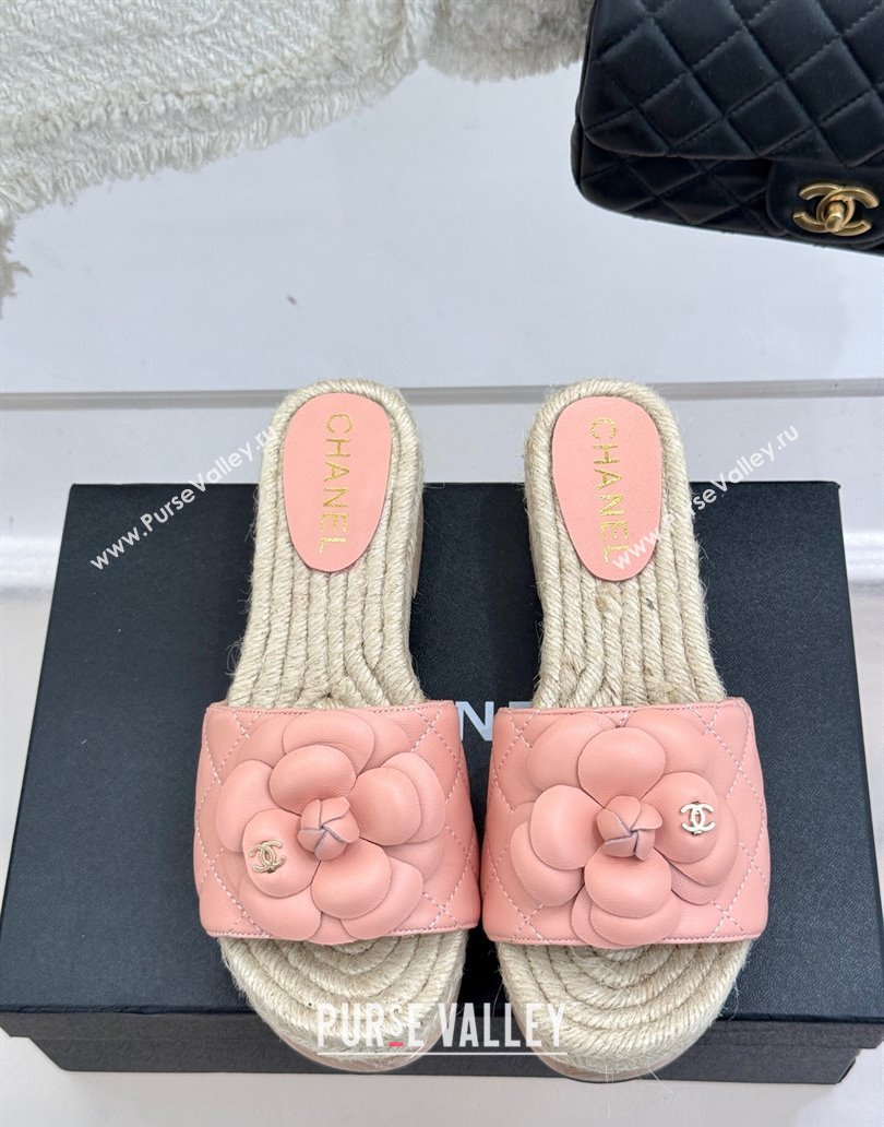 Chanel Calfskin Platform Slides Sandal 4cm with Camellia Light Pink 2025 CH041608 (MD-250416059)