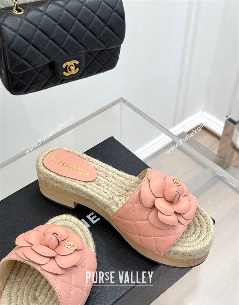 Chanel Calfskin Platform Slides Sandal 4cm with Camellia Light Pink 2025 CH041608 (MD-250416059)