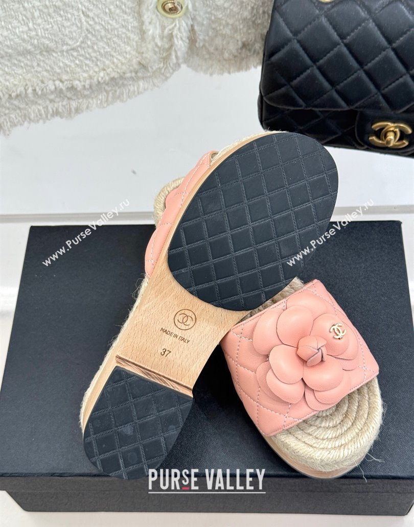 Chanel Calfskin Platform Slides Sandal 4cm with Camellia Light Pink 2025 CH041608 (MD-250416059)