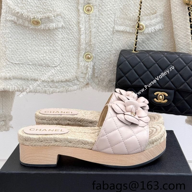 Chanel Calfskin Platform Slides Sandal 4cm with Camellia Pale Pink 2025 CH041608 (MD-250416060)