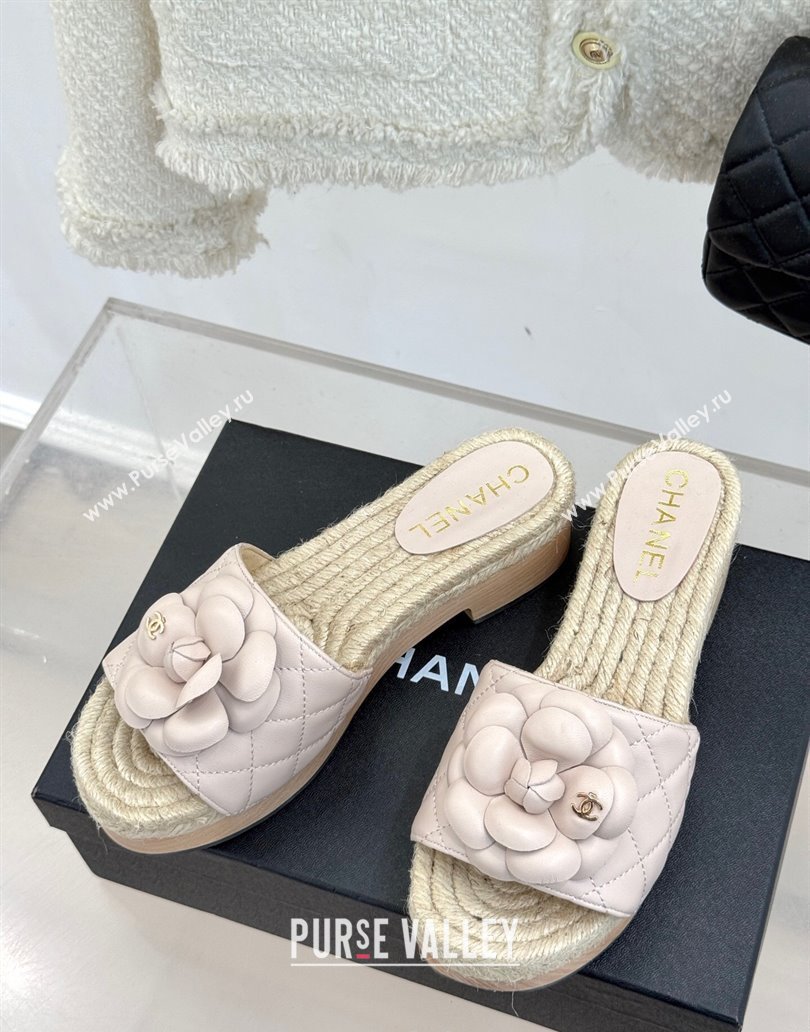 Chanel Calfskin Platform Slides Sandal 4cm with Camellia Pale Pink 2025 CH041608 (MD-250416060)