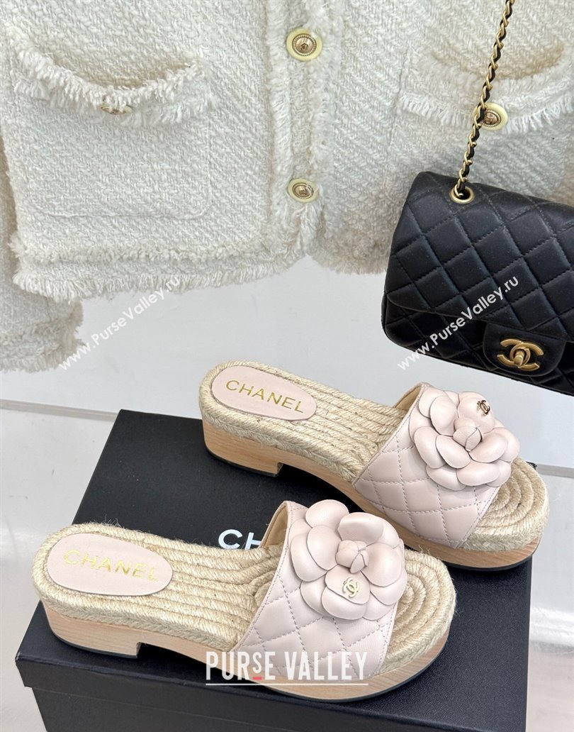 Chanel Calfskin Platform Slides Sandal 4cm with Camellia Pale Pink 2025 CH041608 (MD-250416060)