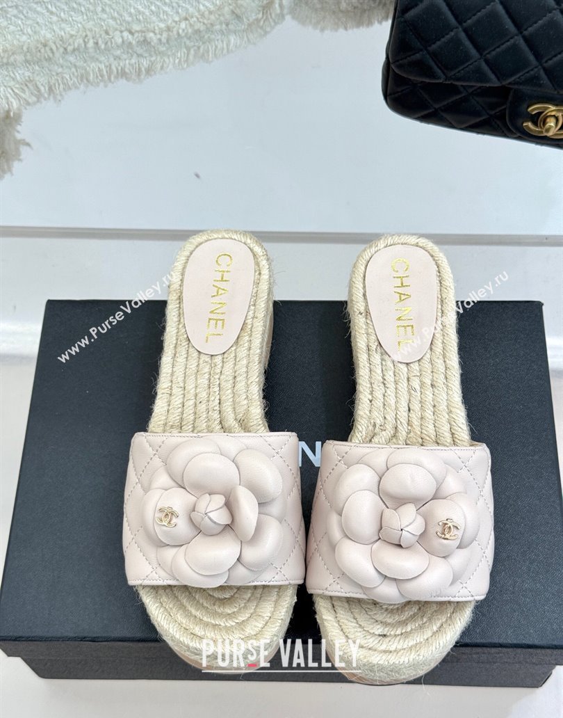 Chanel Calfskin Platform Slides Sandal 4cm with Camellia Pale Pink 2025 CH041608 (MD-250416060)