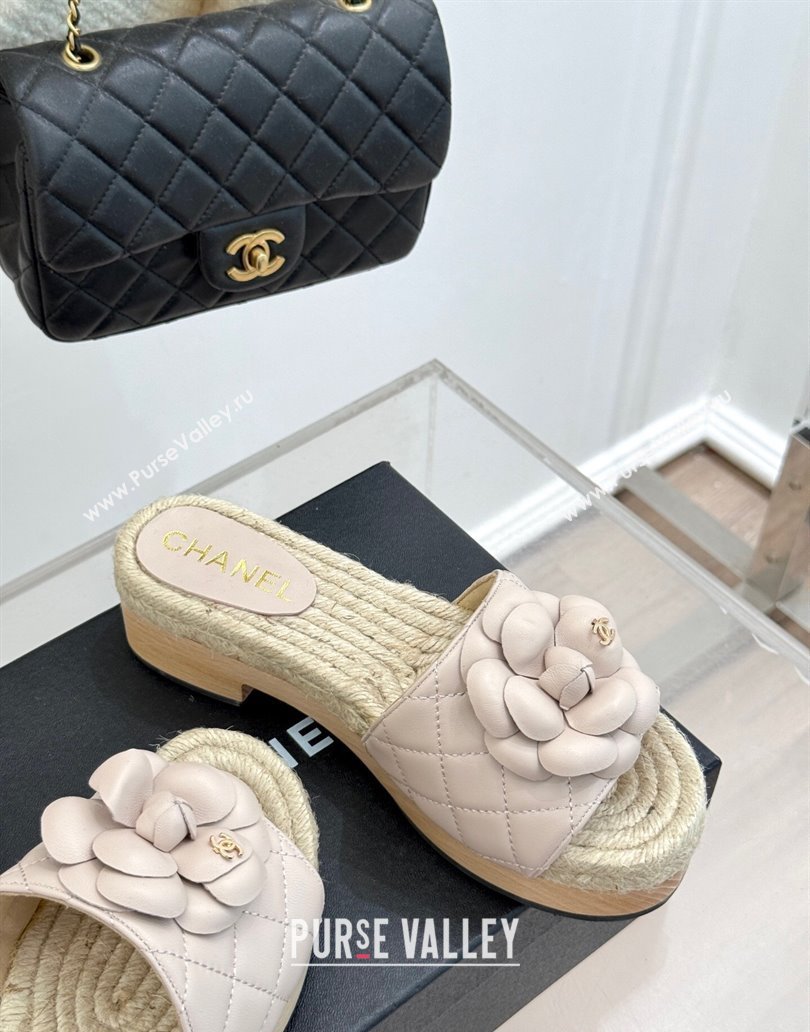 Chanel Calfskin Platform Slides Sandal 4cm with Camellia Pale Pink 2025 CH041608 (MD-250416060)