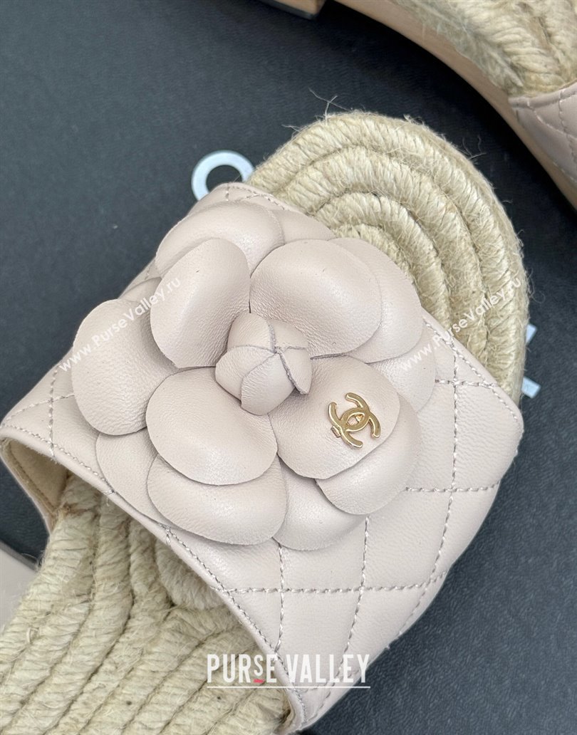 Chanel Calfskin Platform Slides Sandal 4cm with Camellia Pale Pink 2025 CH041608 (MD-250416060)