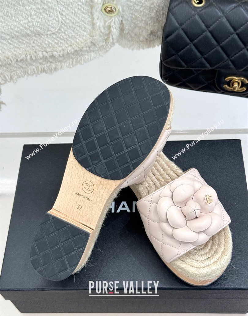 Chanel Calfskin Platform Slides Sandal 4cm with Camellia Pale Pink 2025 CH041608 (MD-250416060)