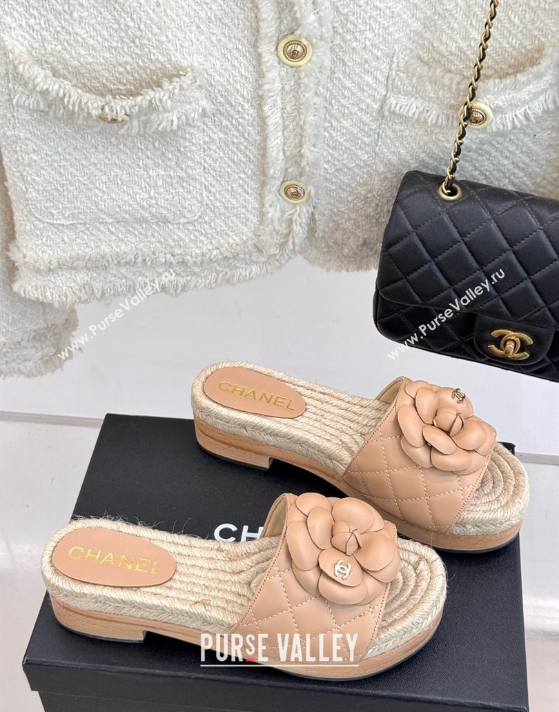 Chanel Calfskin Platform Slides Sandal 4cm with Camellia Beige 2025 CH041608 (MD-250416061)