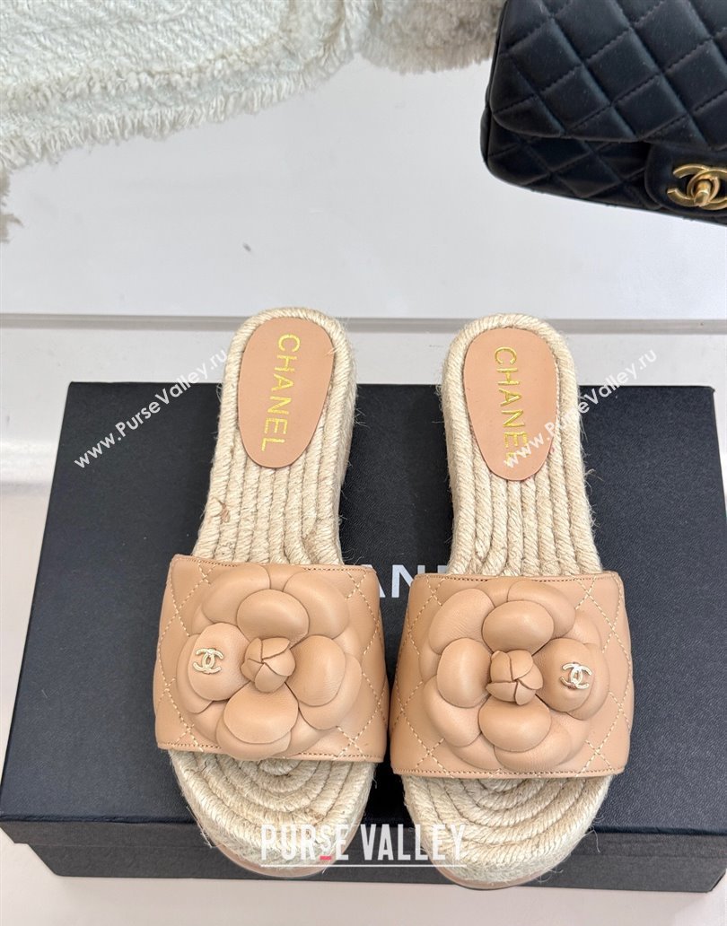 Chanel Calfskin Platform Slides Sandal 4cm with Camellia Beige 2025 CH041608 (MD-250416061)