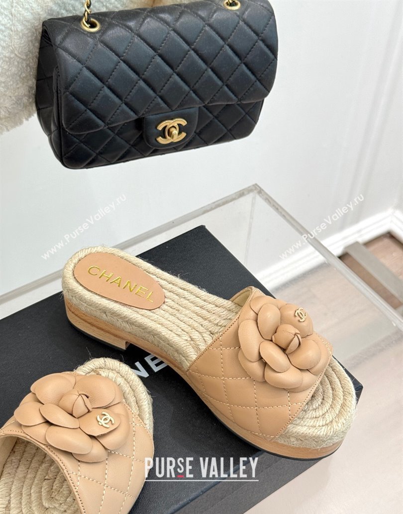 Chanel Calfskin Platform Slides Sandal 4cm with Camellia Beige 2025 CH041608 (MD-250416061)