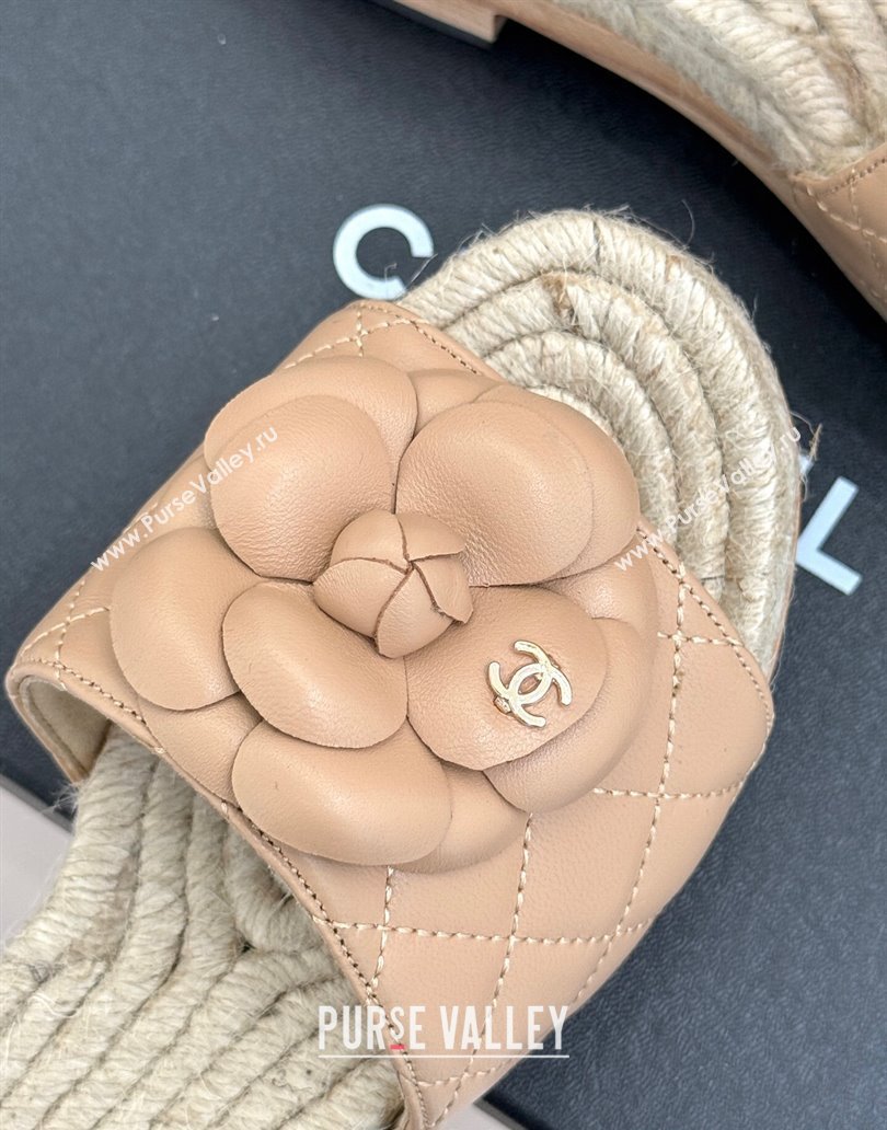 Chanel Calfskin Platform Slides Sandal 4cm with Camellia Beige 2025 CH041608 (MD-250416061)