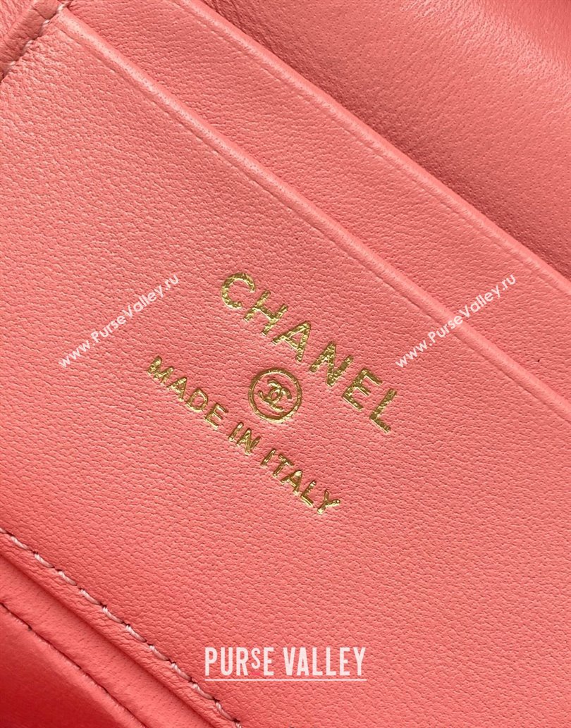 Chanel Grained Calfskin Long Vanity Case with Chain Light Pink 2025 AP4407 (yezi-250526035)