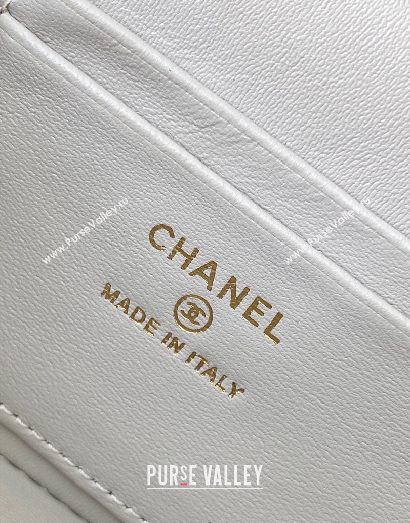 Chanel Grained Calfskin Long Vanity Case with Chain Light Grey 2025 AP4407 (yezi-250526036)