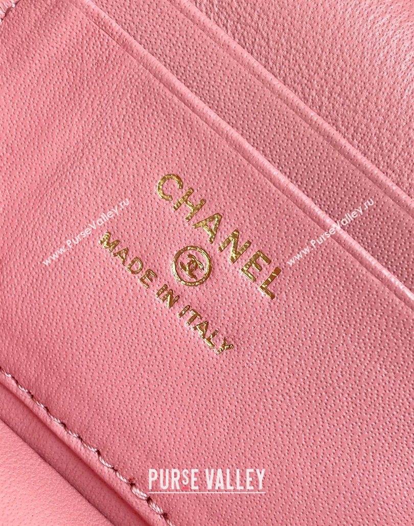 Chanel Grained Calfskin Long Vanity Case with Chain Pink2 2025 AP4407 (yezi-250526037)