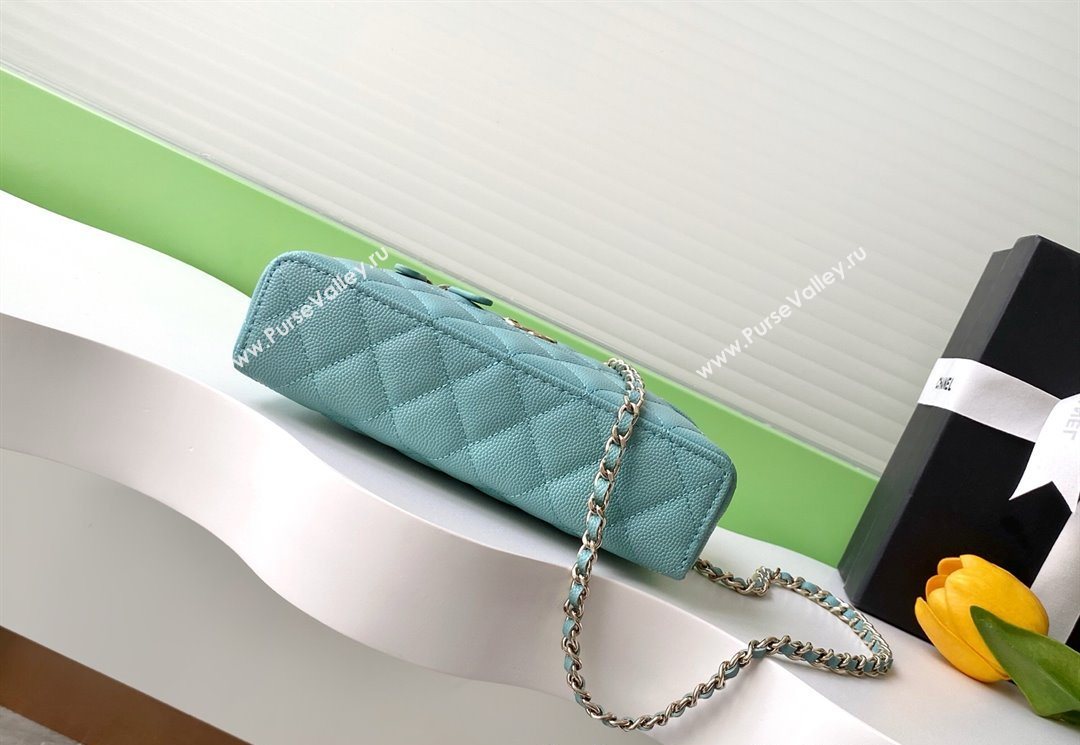 Chanel Grained Calfskin Long Vanity Case with Chain Light Green 2025 AP4407 (yezi-250526042)