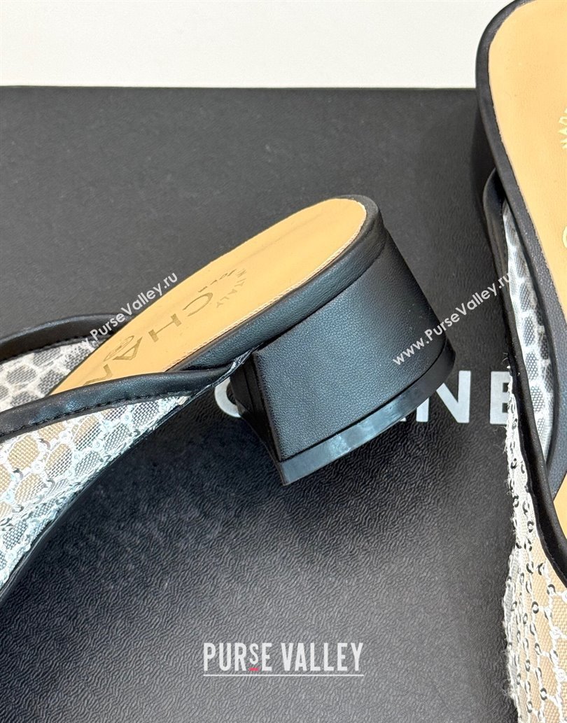 Chanel Mesh Heel Mules Black 2025 CH061014 (MD-250610083)