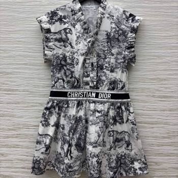 Dior Printed Dress with Pleated Trim 2025 0611 (QI-250611005)