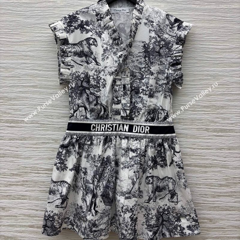 Dior Printed Dress with Pleated Trim 2025 0611 (QI-250611005)