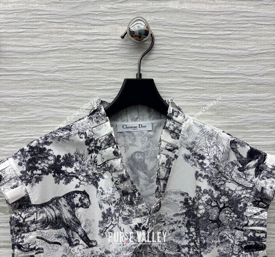 Dior Printed Dress with Pleated Trim 2025 0611 (QI-250611005)