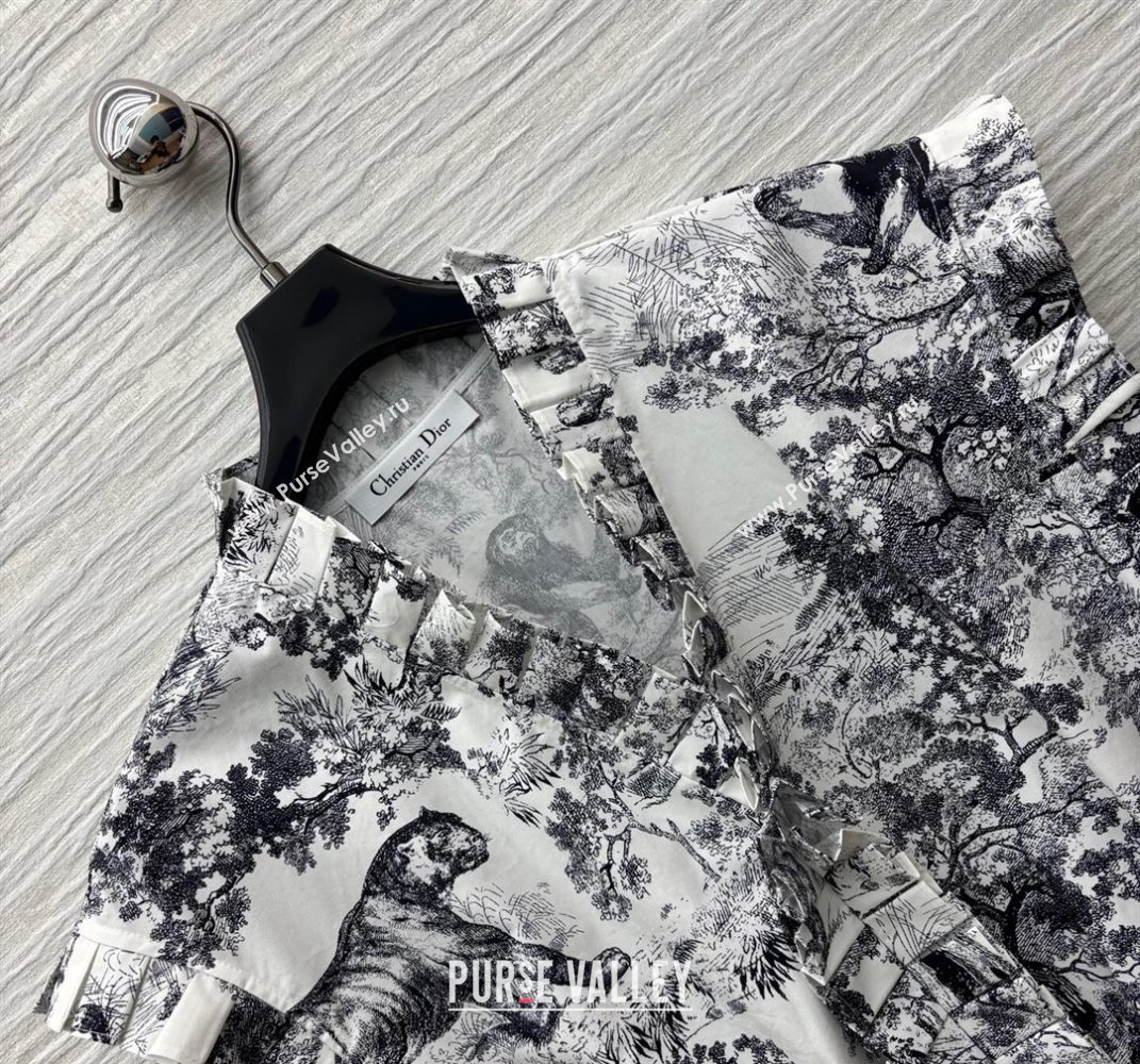 Dior Printed Dress with Pleated Trim 2025 0611 (QI-250611005)