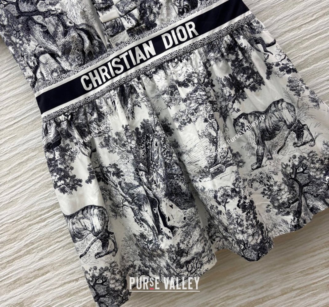 Dior Printed Dress with Pleated Trim 2025 0611 (QI-250611005)