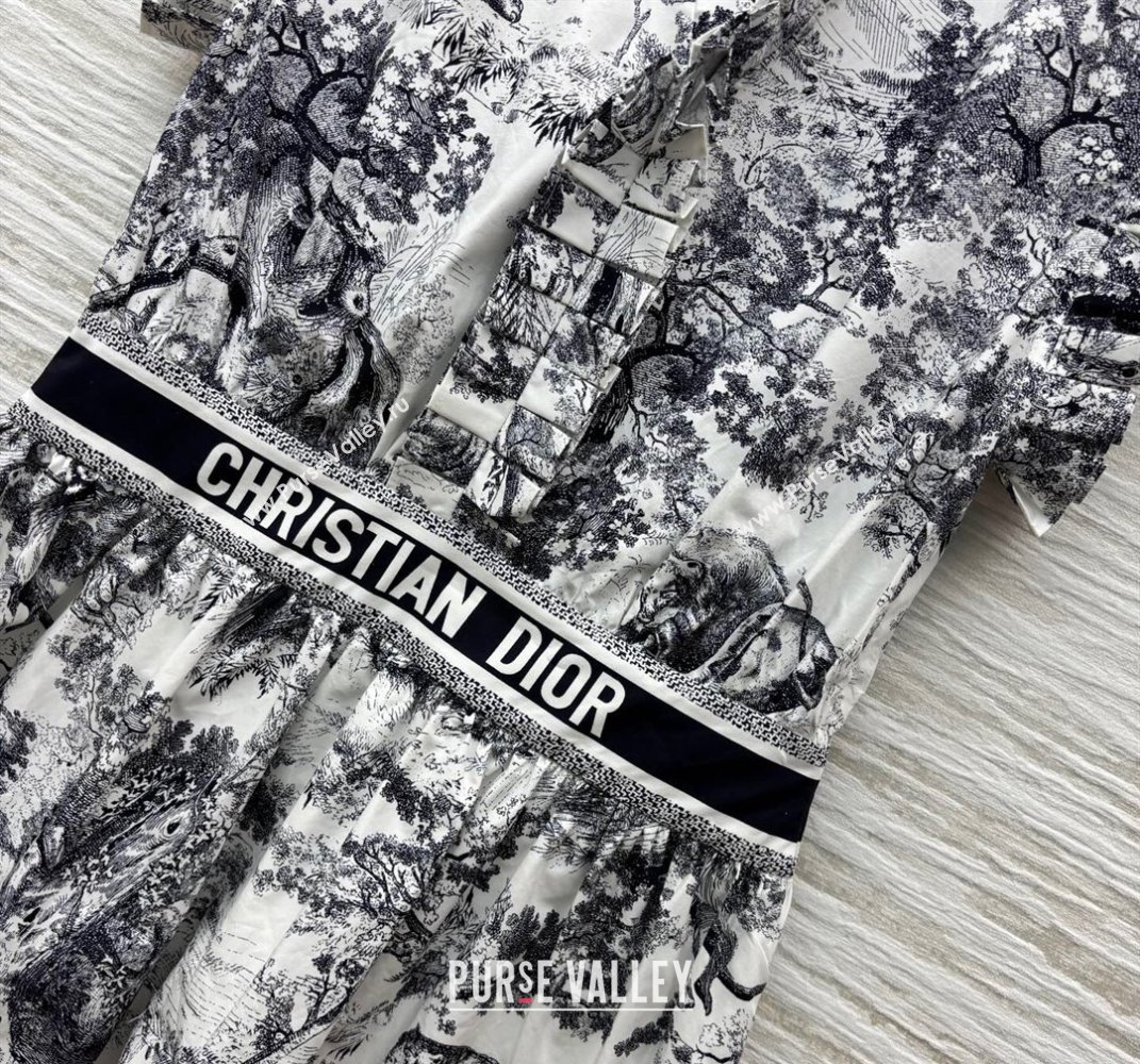 Dior Printed Dress with Pleated Trim 2025 0611 (QI-250611005)