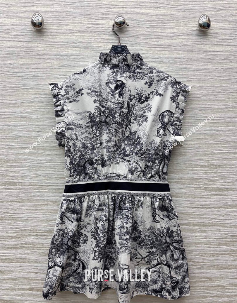 Dior Printed Dress with Pleated Trim 2025 0611 (QI-250611005)