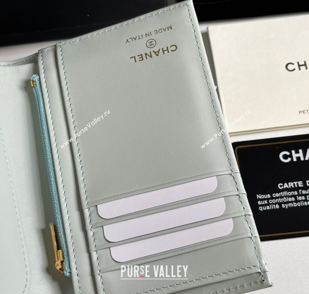 Chanel Grained Calfskin Passport Cover Pale Green/Gold 2025 A3658 (yezi-250702058)