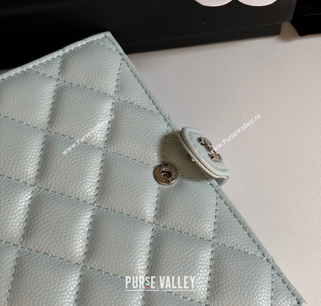 Chanel Grained Calfskin Passport Cover Pale Green/Silver 2025 A3658 (yezi-250702059)
