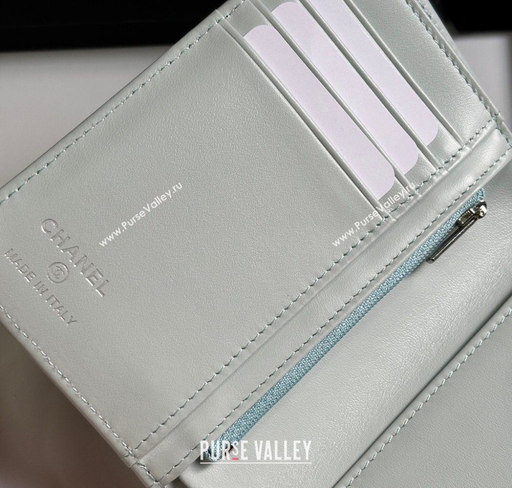 Chanel Grained Calfskin Passport Cover Pale Green/Silver 2025 A3658 (yezi-250702059)