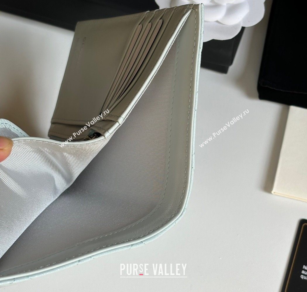 Chanel Grained Calfskin Passport Cover Pale Green/Silver 2025 A3658 (yezi-250702059)