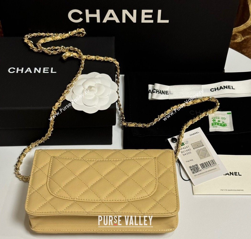 Chanel Grained Shiny Calfskin Classic Wallet on Chain WOC Yellow 2025 AP4241 (yezi-250703087)