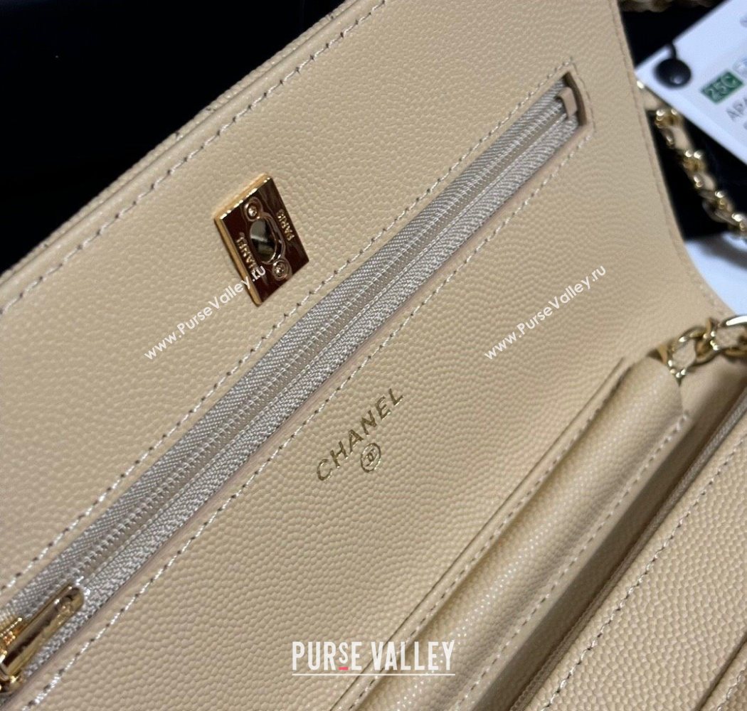 Chanel Grained Shiny Calfskin Classic Wallet on Chain WOC Yellow 2025 AP4241 (yezi-250703087)