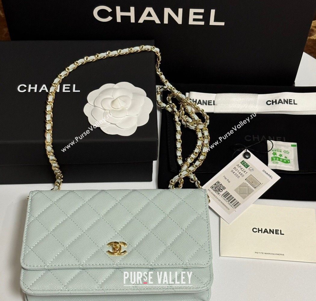 Chanel Grained Shiny Calfskin Classic Wallet on Chain WOC Pale Green 2025 AP4241 (yezi-250703091)