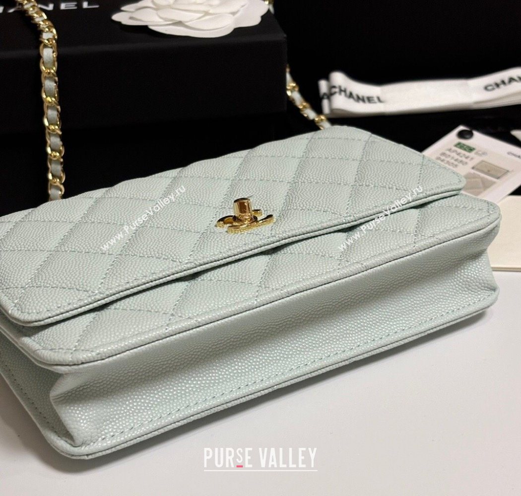 Chanel Grained Shiny Calfskin Classic Wallet on Chain WOC Pale Green 2025 AP4241 (yezi-250703091)