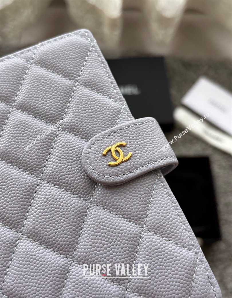 Chanel Grained Calfskin Passport Cover Light Grey 2025 A3658 (yezi-250702061)