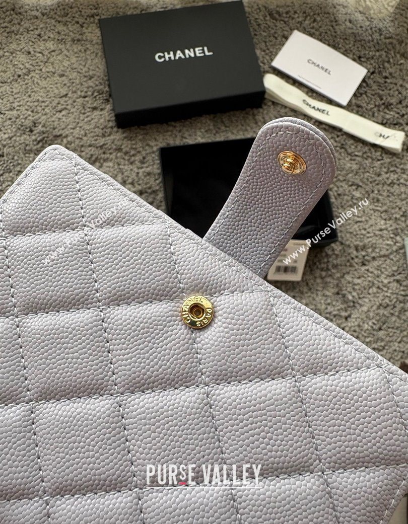 Chanel Grained Calfskin Passport Cover Light Grey 2025 A3658 (yezi-250702061)