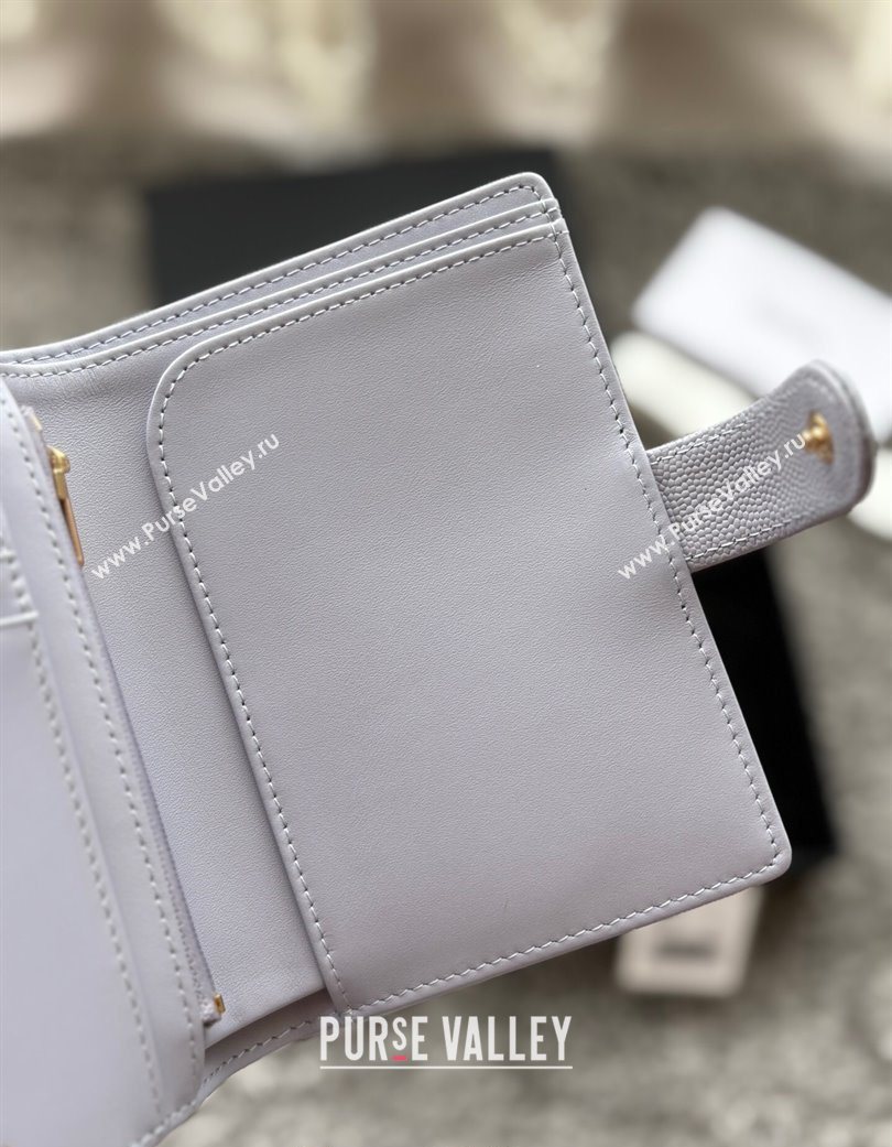 Chanel Grained Calfskin Passport Cover Light Grey 2025 A3658 (yezi-250702061)