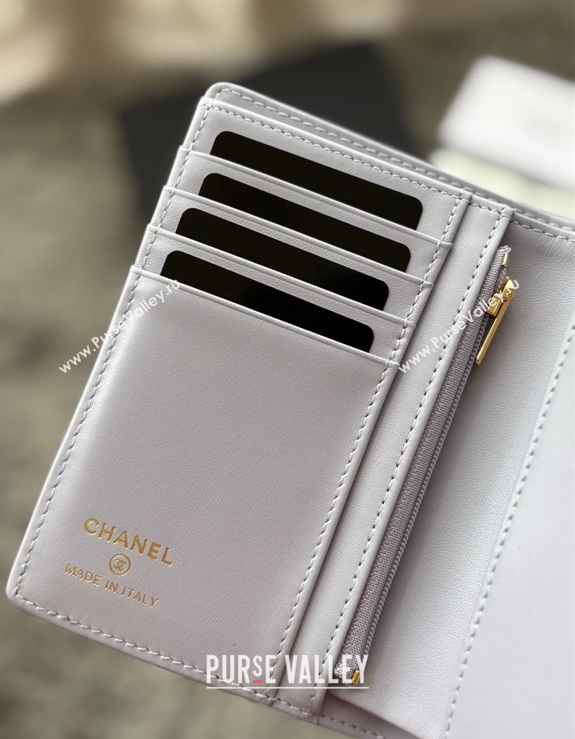 Chanel Grained Calfskin Passport Cover Light Grey 2025 A3658 (yezi-250702061)