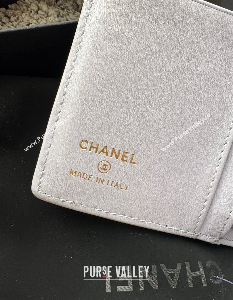 Chanel Grained Calfskin Passport Cover Light Grey 2025 A3658 (yezi-250702061)