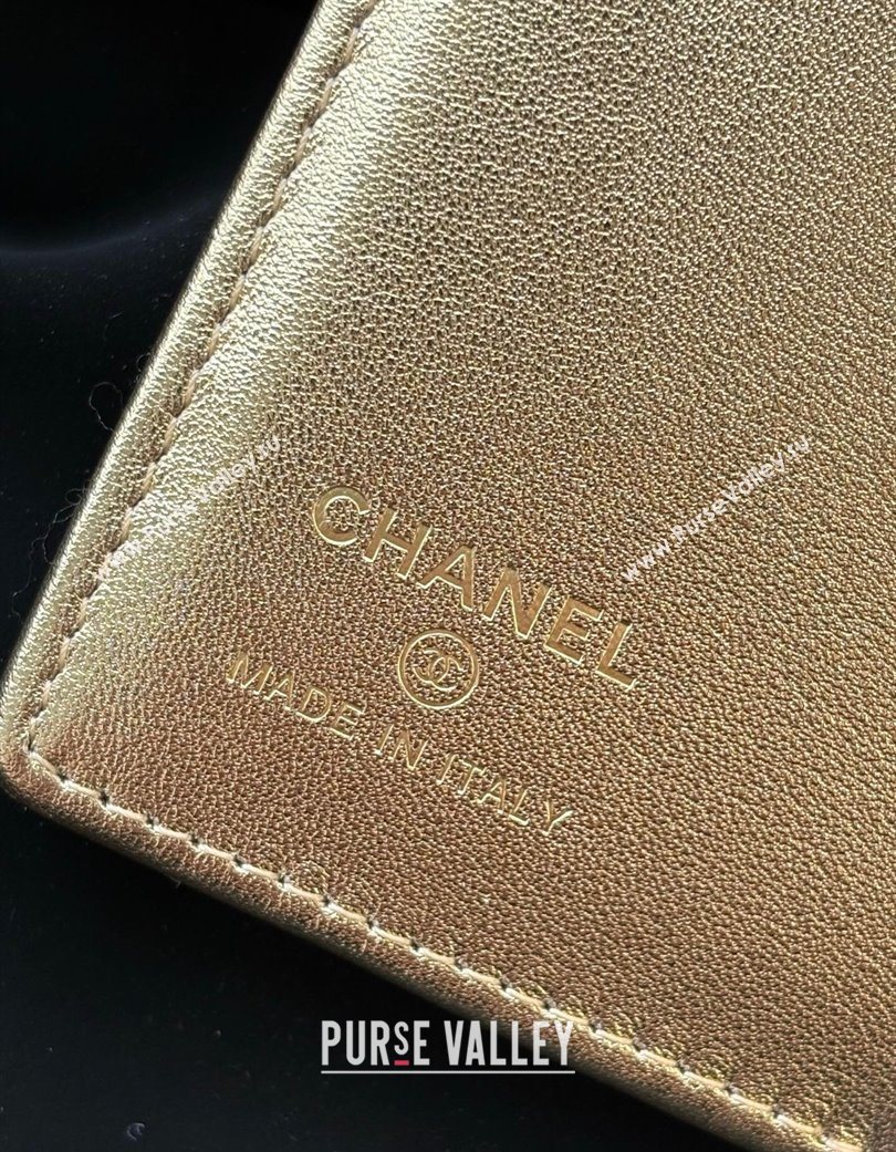 Chanel Lambskin Passport Cover Gold-Tone 2025 A3658 (yezi-250702064)