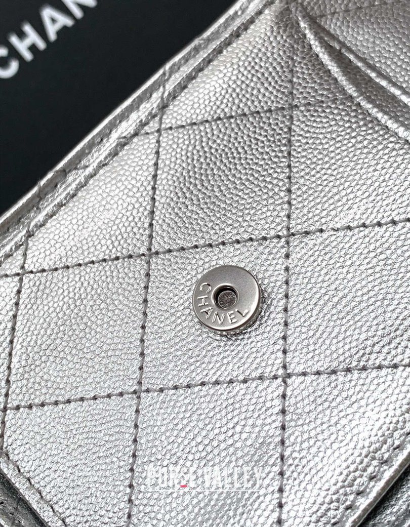 Chanel 25 Mini Hobo Handbag in Grained Calfskin Silver 2025 AS5631 (yezi-250702074)