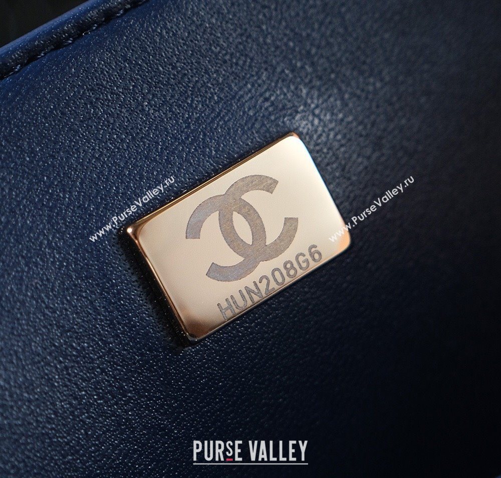 Chanel Mixed Fiber Embroidery Classic Medium Flap Bag A01112 Navy Blue/Multicolored 2025 (yezi-250703044)