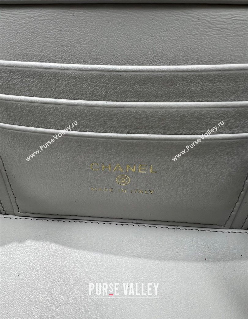 Chanel Grained Shiny Calfskin Classic Large Vanity with Chain Grey 2025 AP1341 (yezi-250812087)