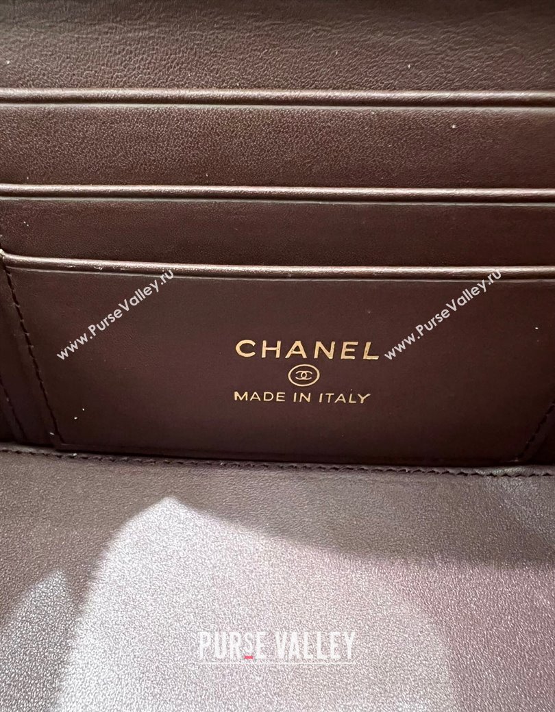 Chanel Grained Shiny Calfskin Classic Large Vanity with Chain Black 2025 AP1341 (yezi-250812091)