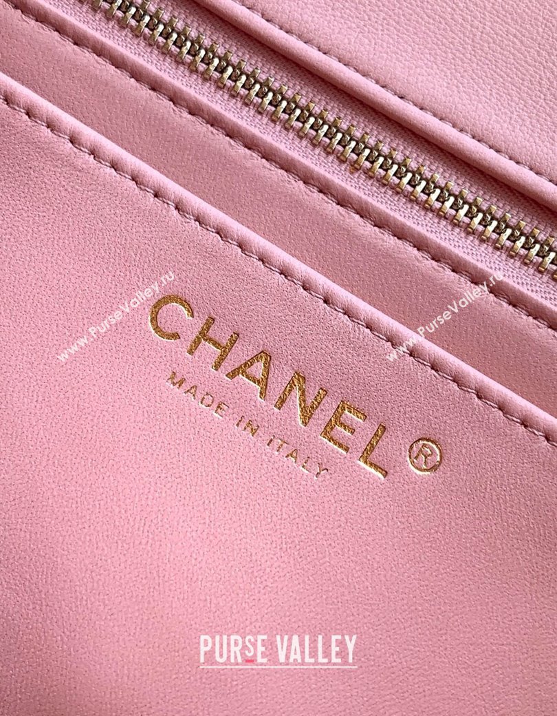 Chanel Shiny Lambskin Leather Flap Bag with CC Chain AS5756 Light Pink 2025 (yezi-2508110096)