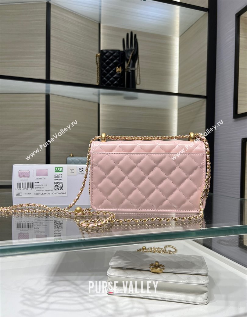 Chanel Shiny Calfskin Wallet On Chain WOC Light Pink 2025 AP2289 (yezi-2508110076)