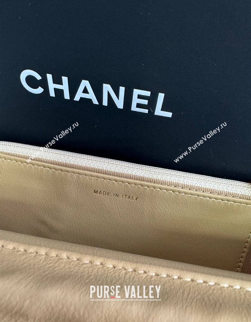 Chanel Grained Shiny Calfskin Wallet On Chain WOC with Maxi CC Beige Yellow 2025 AP6809 (yezi-250812044)