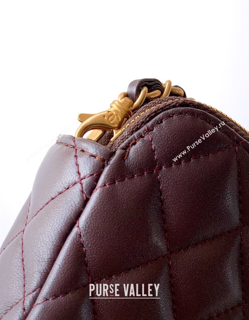 Chanel Suede Shiny Lambskin Zipped Phone Holder with Chain Coffee Brown 2025 AP4743 (yezi-250812066)