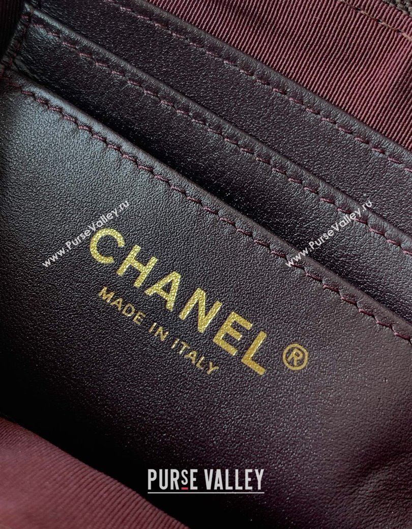 Chanel Suede Shiny Lambskin Zipped Phone Holder with Chain Coffee Brown 2025 AP4743 (yezi-250812066)